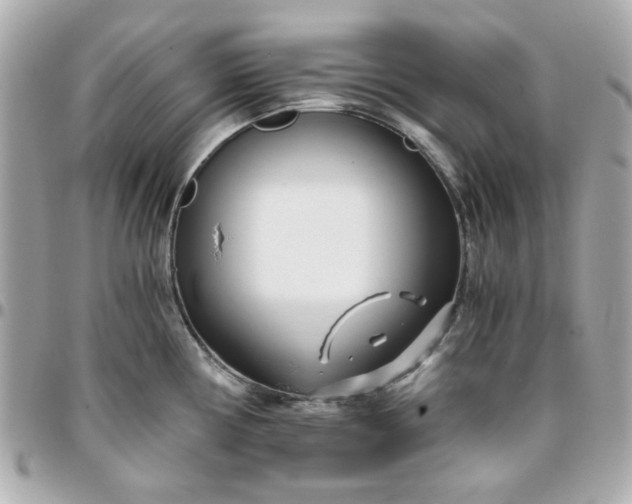 X0000096201194200802011253