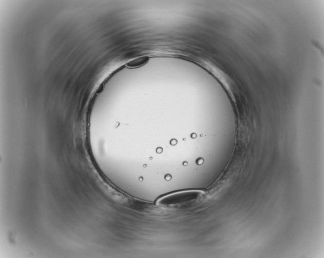 X0000096201195200802011253