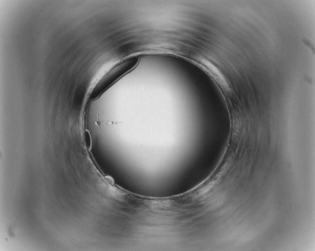 X0000096201196200802011253