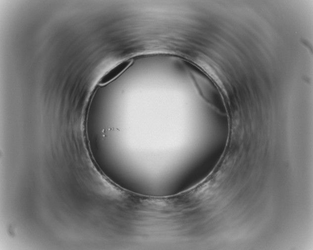 X0000096201197200802011253