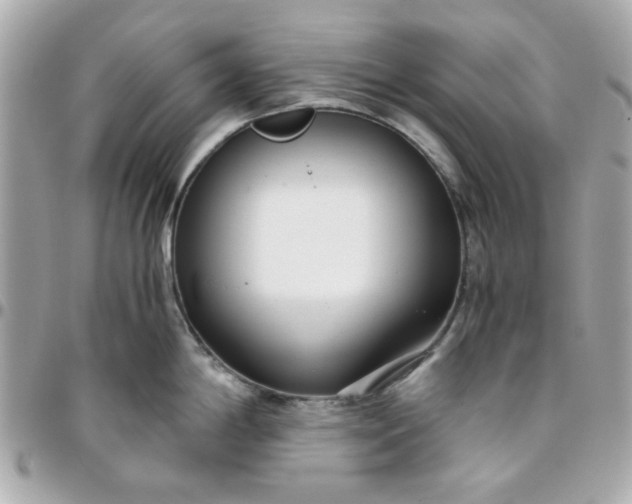 X0000096201198200802011253