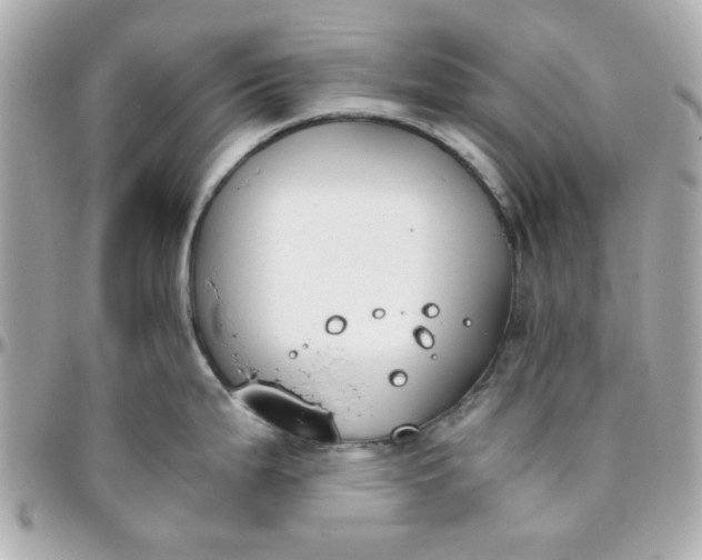 X0000096201199200802011253