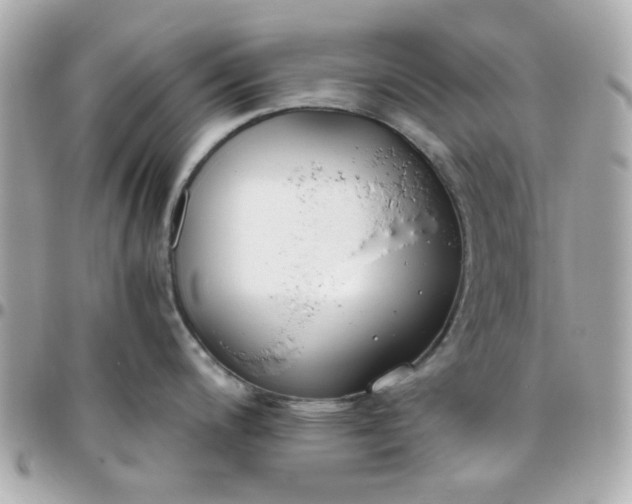 X0000096201200200802011252