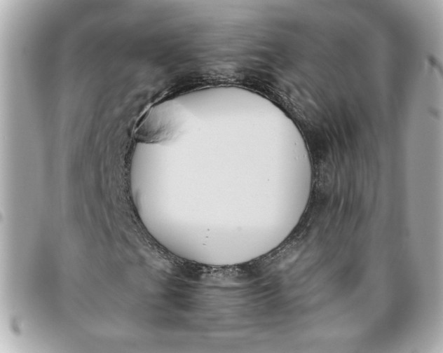 X0000096201201200802011252