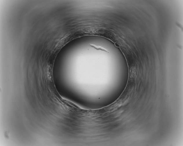 X0000096201202200802011252