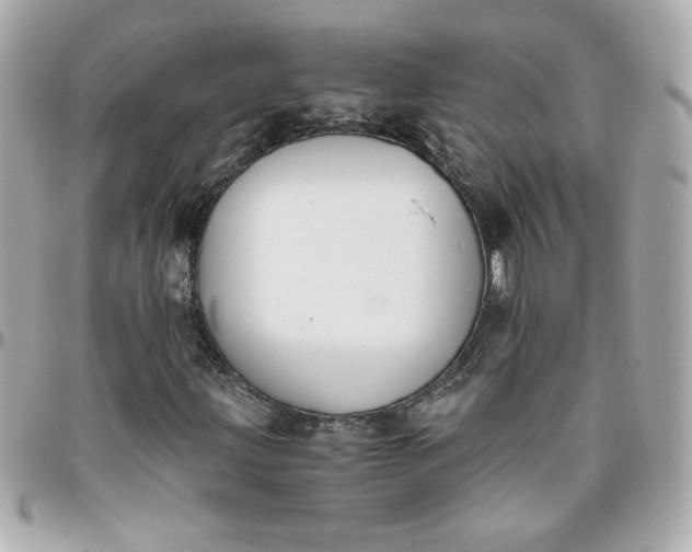 X0000096201203200802011252