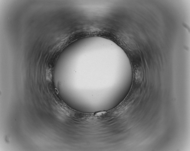 X0000096201204200802011252