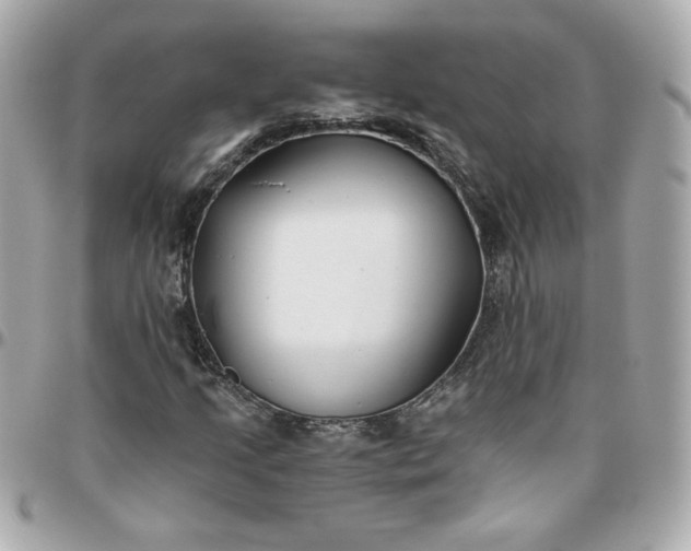 X0000096201205200802011252