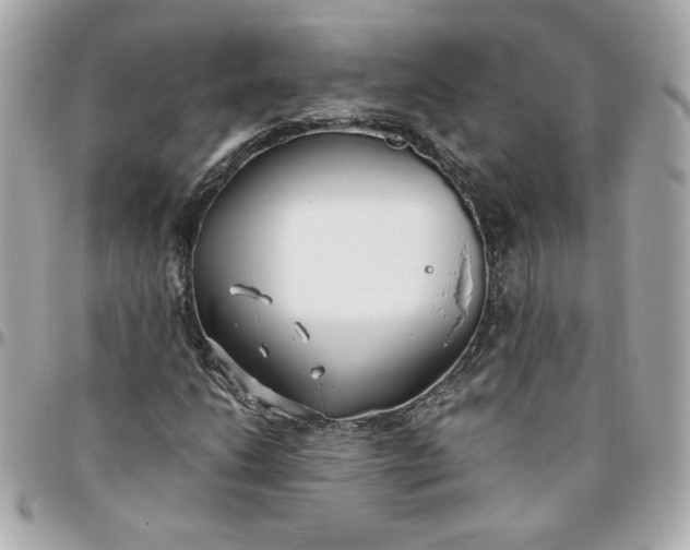 X0000096201206200802011252