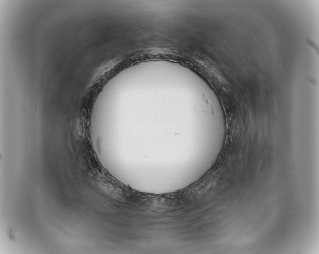 X0000096201207200802011252