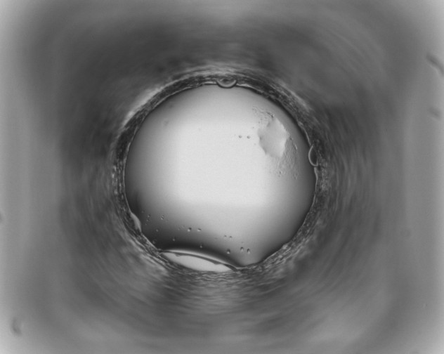 X0000096201208200802011252