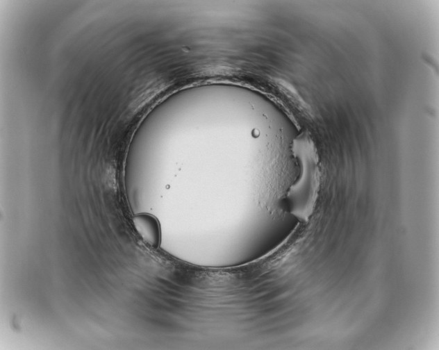 X0000096201209200802011252