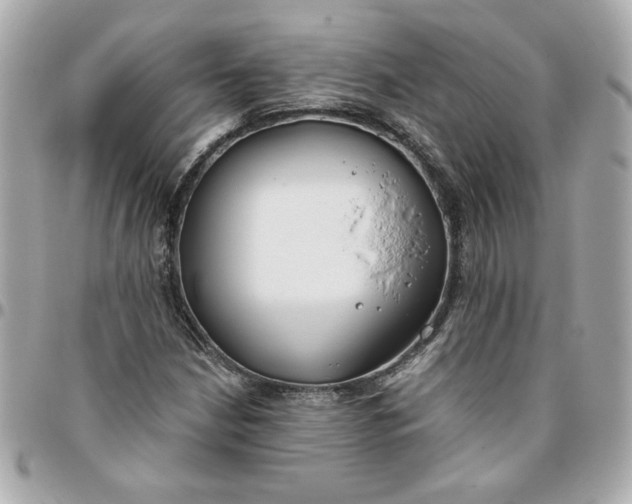 X0000096201210200802011252