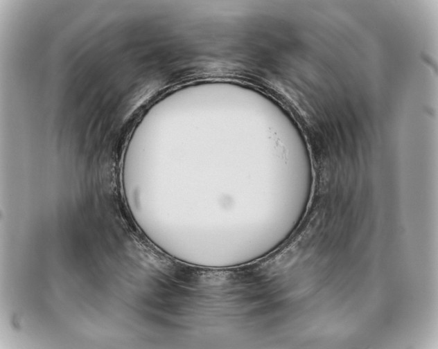 X0000096201211200802011252