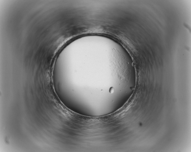 X0000096201212200802011252