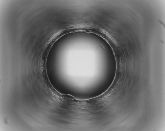 X0000096201213200802011252