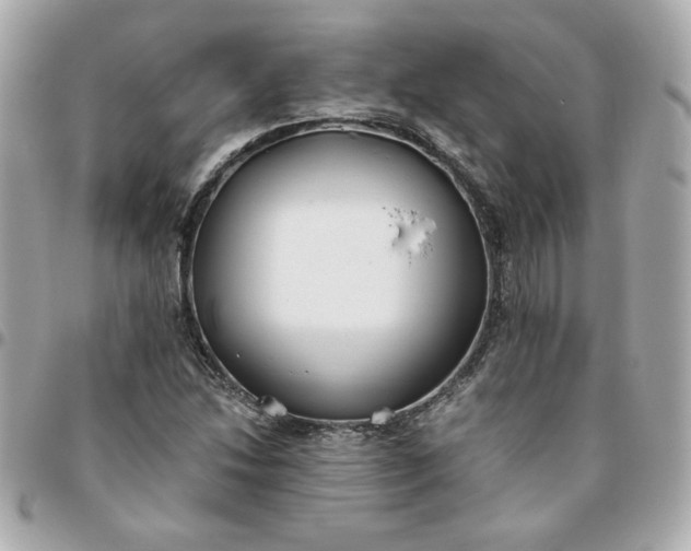 X0000096201214200802011252