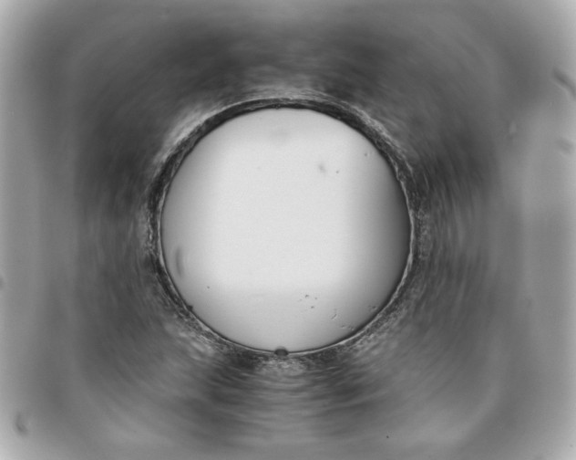 X0000096201215200802011252