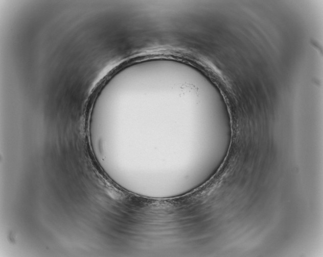 X0000096201216200802011252