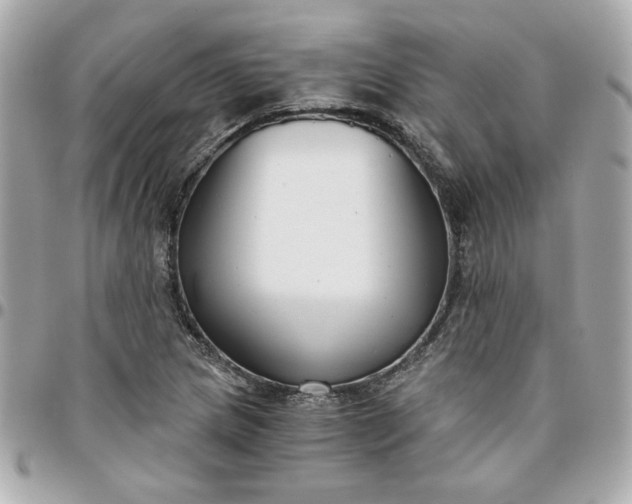 X0000096201217200802011252