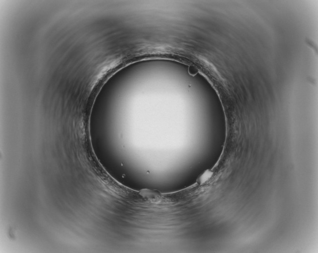 X0000096201218200802011252