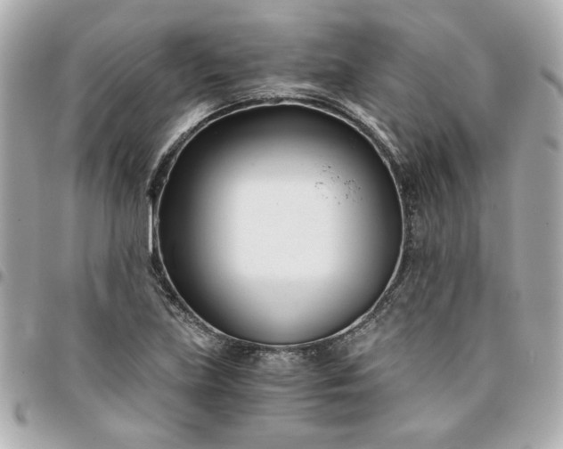 X0000096201219200802011252