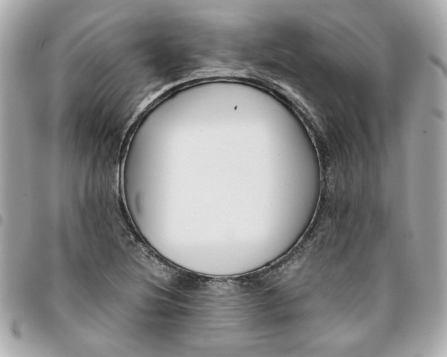 X0000096201220200802011252