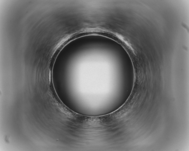 X0000096201221200802011252