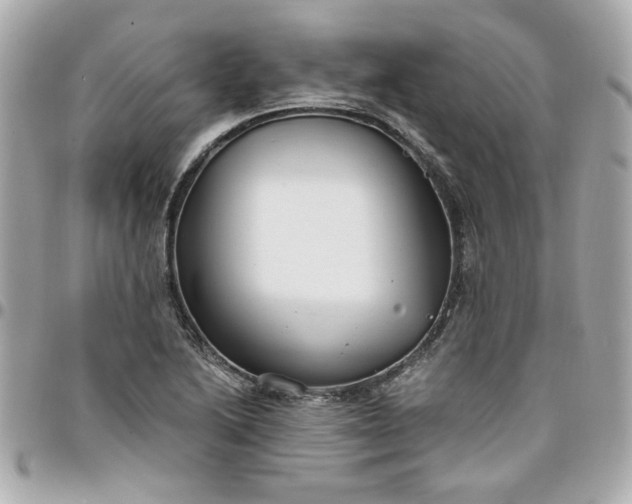 X0000096201222200802011252