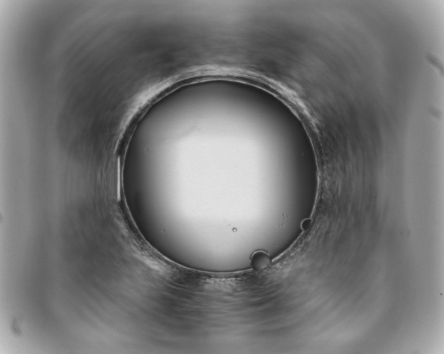 X0000096201223200802011252