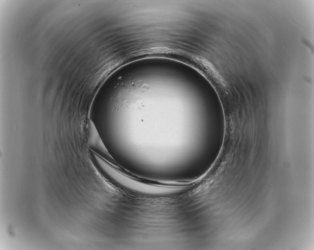 X0000096201225200802011252