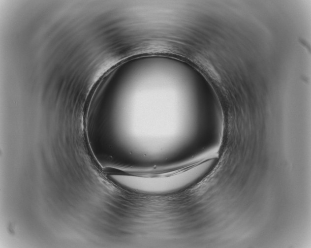 X0000096201226200802011252