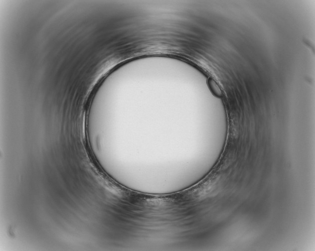 X0000096201227200802011252