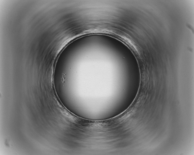 X0000096201228200802011252