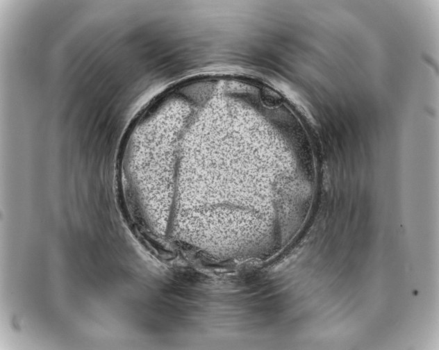 X0000096201229200802011252