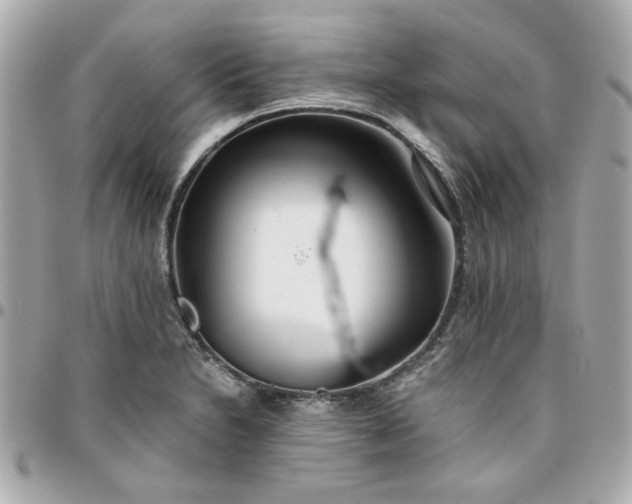 X0000096201230200802011252