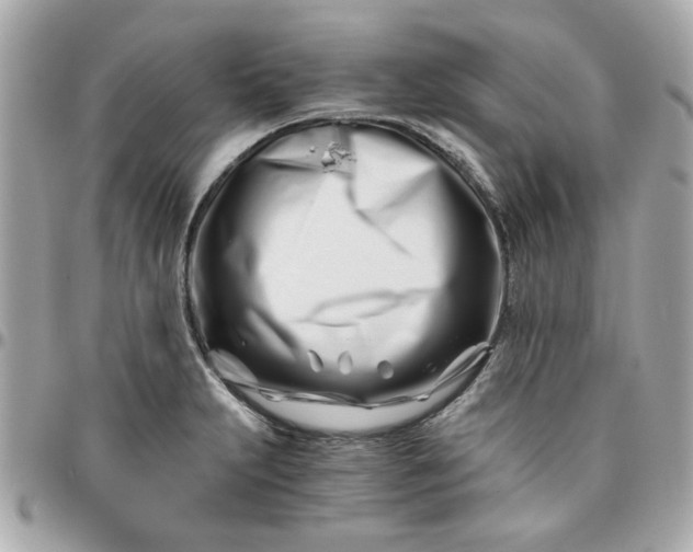 X0000096201231200802011252