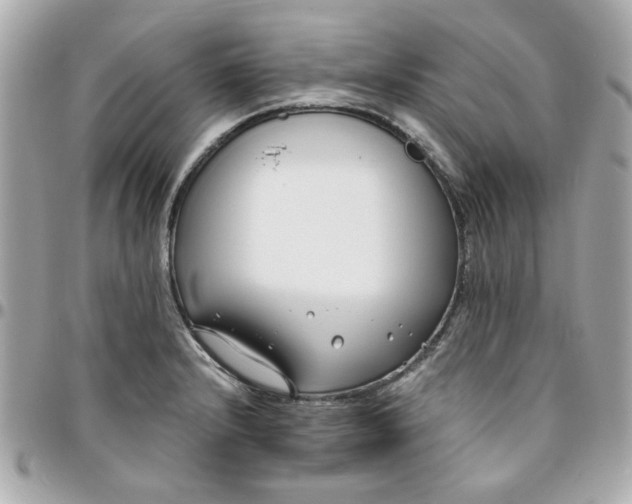 X0000096201232200802011252