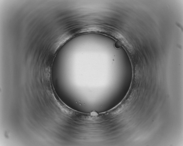 X0000096201233200802011252