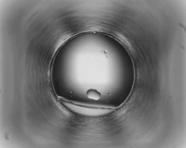 X0000096201234200802011252