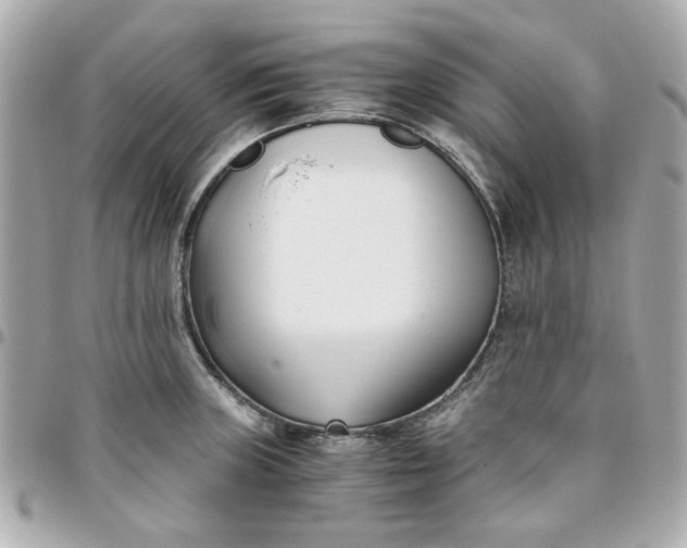 X0000096201235200802011252