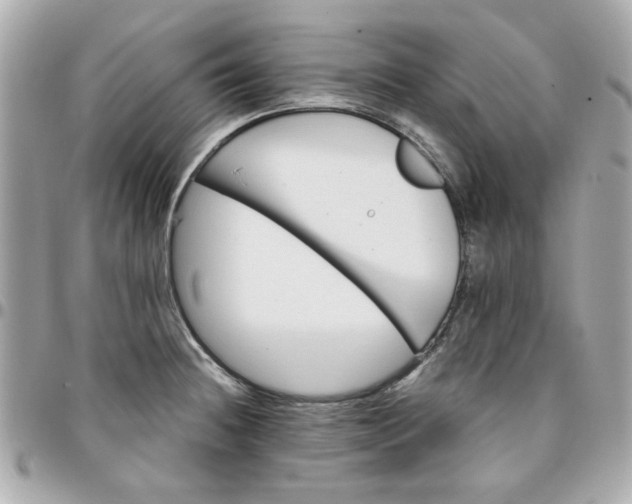 X0000096201236200802011252