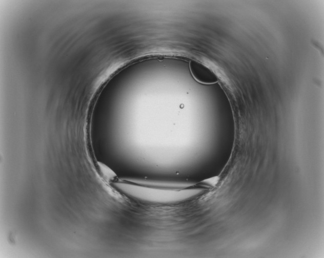 X0000096201237200802011252