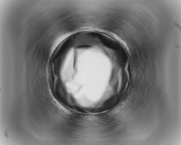 X0000096201239200802011252