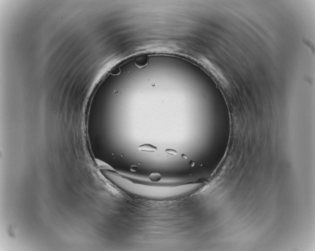 X0000096201240200802011252