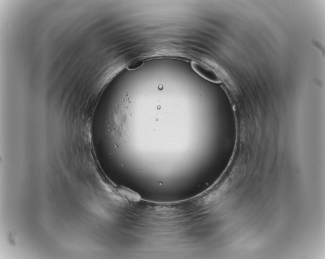 X0000096201241200802011252