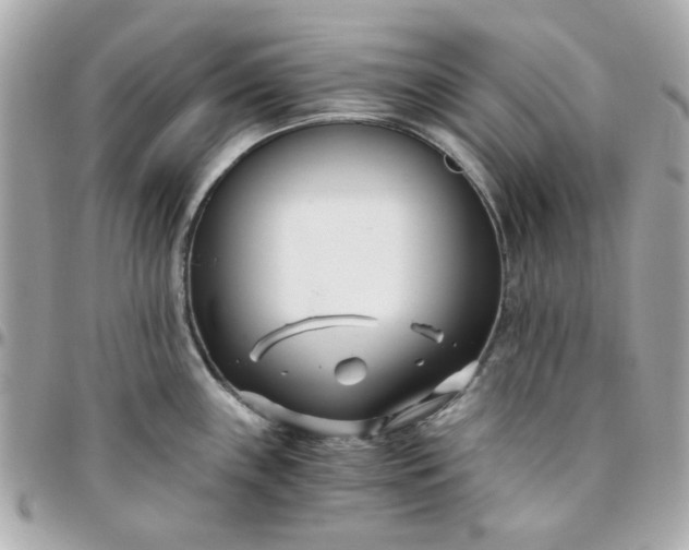 X0000096201243200802011252