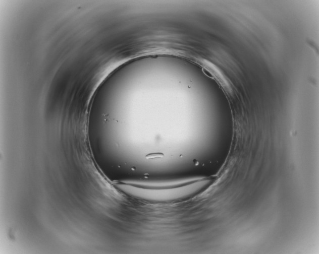 X0000096201244200802011252