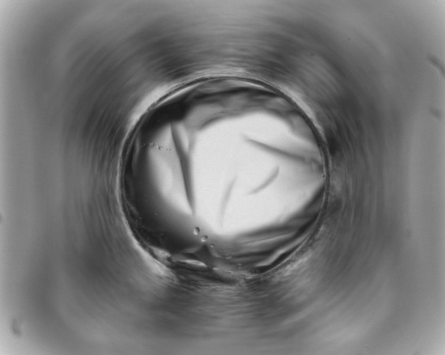 X0000096201245200802011252