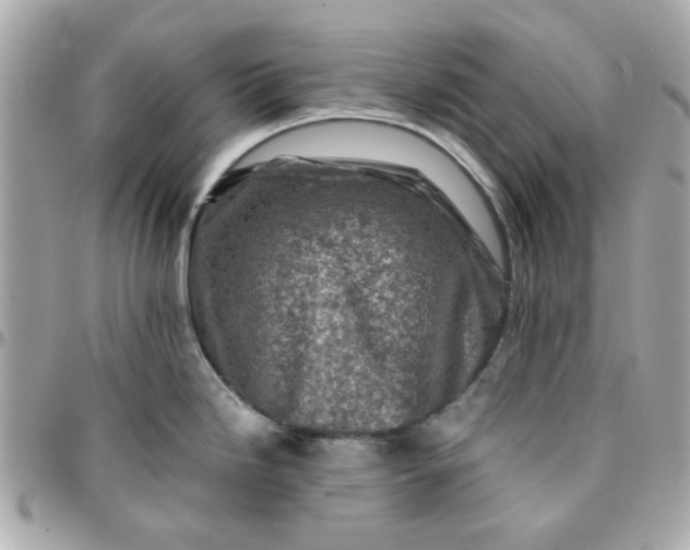 X0000096201246200802011252